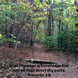 Proverbs 3 image.jpg